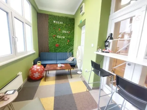 Izdavanje, poslovni prostor, 129m², Savski Venac, Beograd - image 9