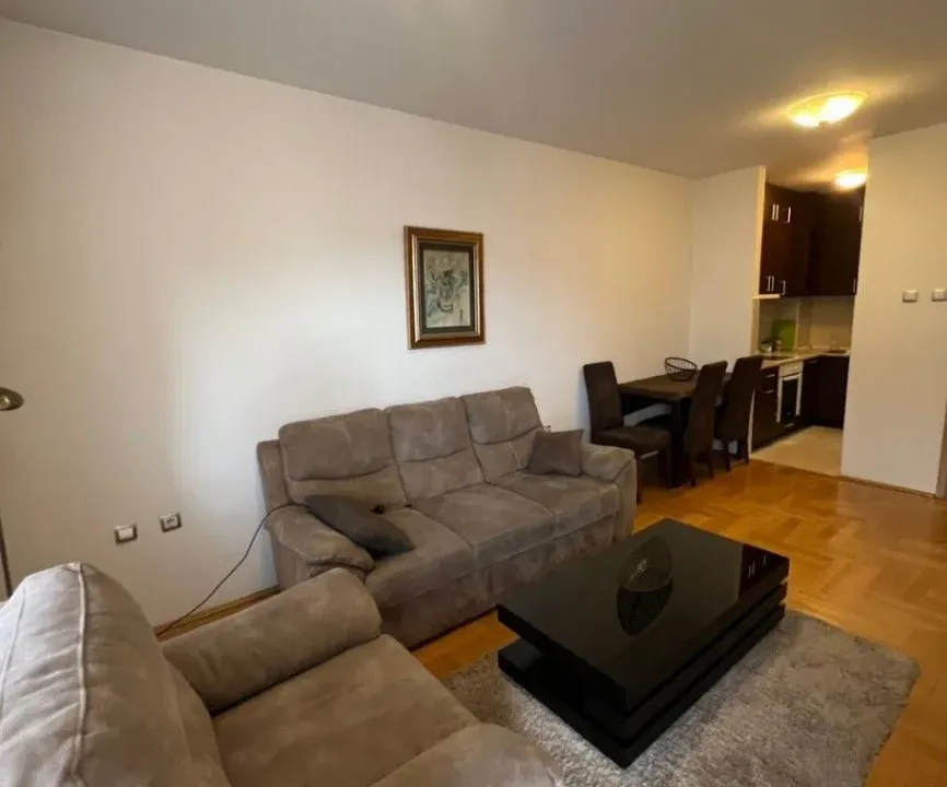 Izdavanje, jednosoban stan, 42m², Preko Morače, Podgorica