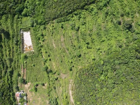 Prodaja, plac, 83000m², Radanovići, Kotor - image 13