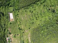 Prodaja,  zemljište, 83000m2, Radanovići, Kotor