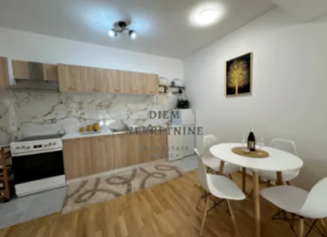 Izdavanje, dvosoban stan, 60m², Stara Varoš, Podgorica - image 4