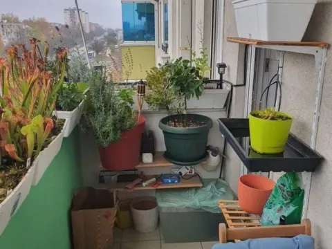 Sale, two bedroom apartment, 55m², Banatić, Novi Sad Sve Podlokacije - image 14