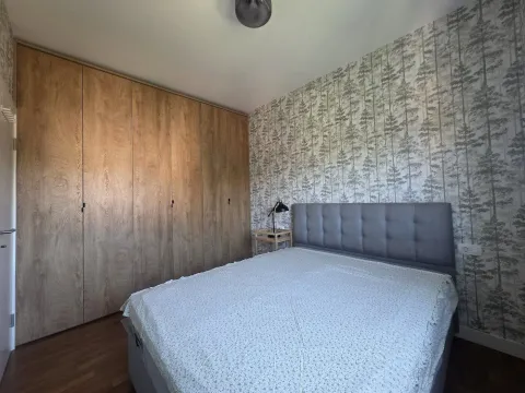 Rent, apartment, 47m², Zagorič, Podgorica - image 8