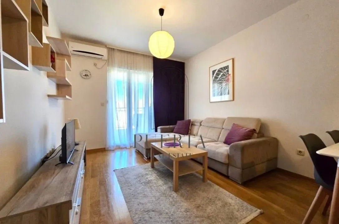 Rent, one bedroom apartment, 46m², Blok 6, Podgorica
