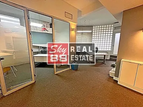 Izdavanje, poslovni prostor, 90m², Vračar Hram, Vračar Sve Podlokacije - image 10