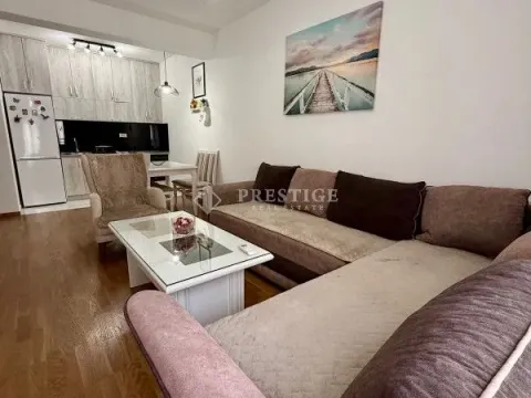 Rent, one bedroom apartment, 45m², Zabjelo, Podgorica - image 3