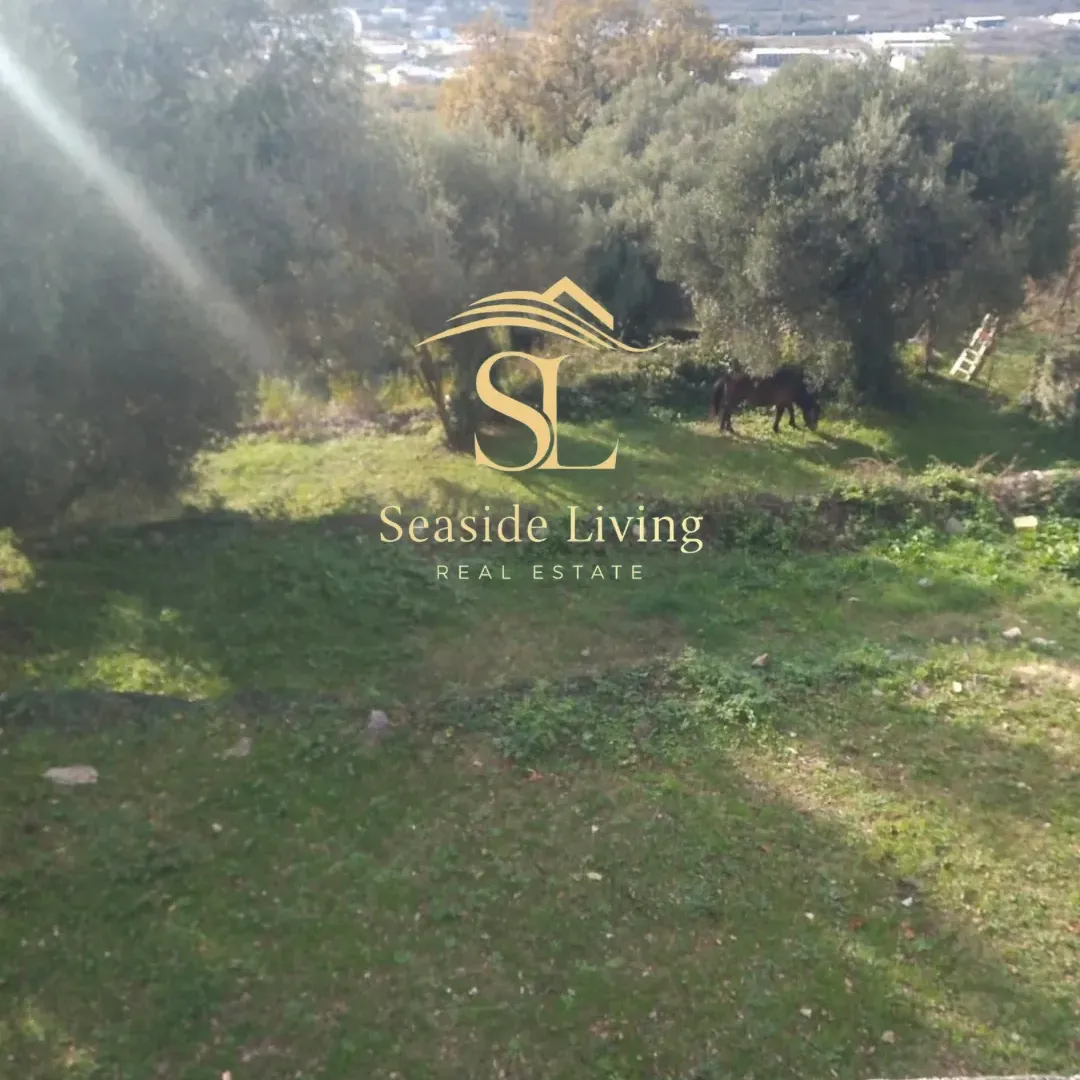 Prodaja, plac, 968m², Dub, Kotor