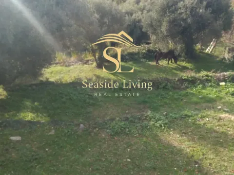 Prodaja, plac, 968m², Dub, Kotor - image 2