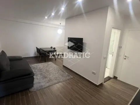 Izdavanje, dvosoban stan, 47m², Palilulska Pijaca, Palilula Sve Podlokacije - image 2