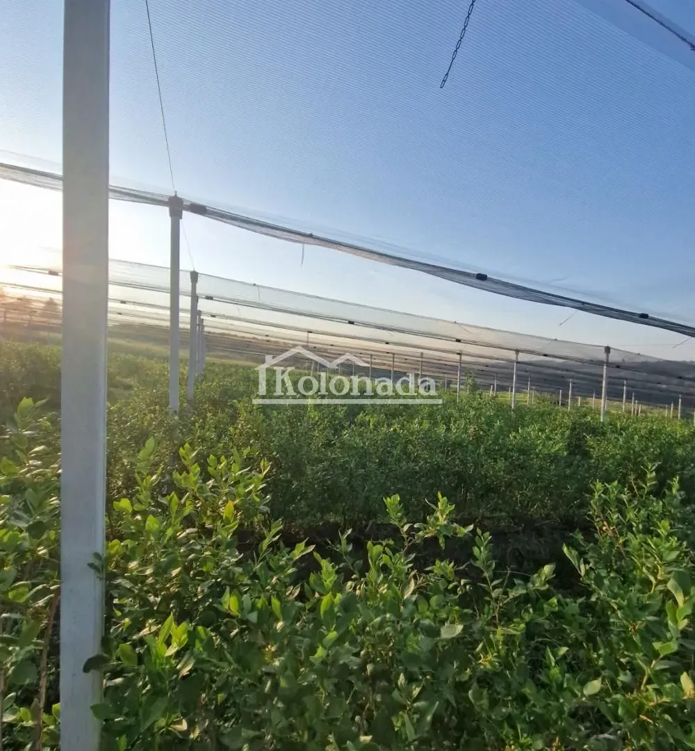 Prodaja, plac, 31670m², Sopot, Beograd