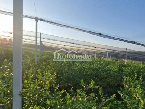 Prodaja, plac, 31670m², Sopot, Beograd - image 10