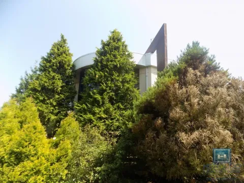 Izdavanje, poslovni prostor, 270m², 7. juli, Paraćin - image 16