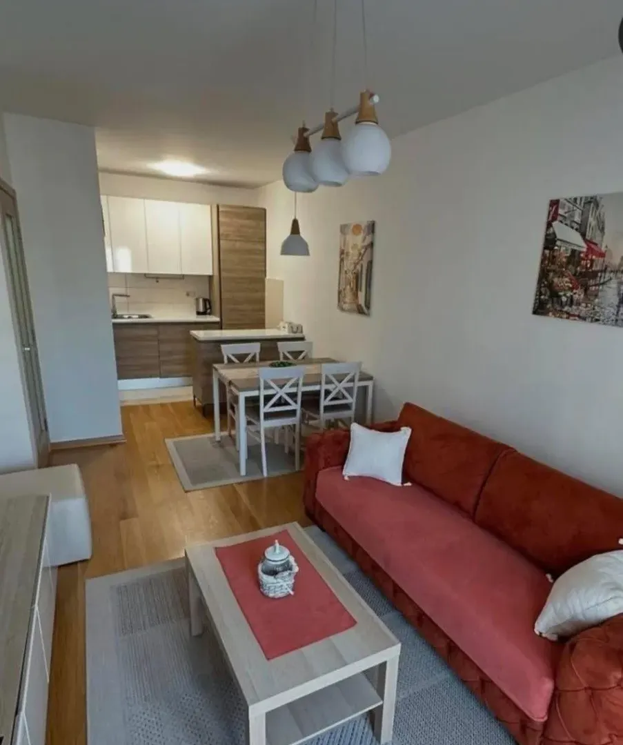 Rent, one bedroom apartment, 45m², City Kvart, Podgorica