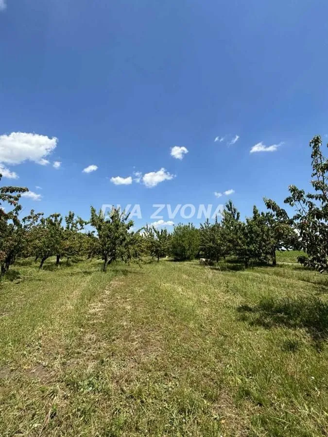 Prodaja, plac, 28700m², Novi Slankamen, Inđija