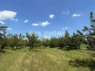 Sale, land lot, 287m², Novi Slankamen, Inđija - image 5