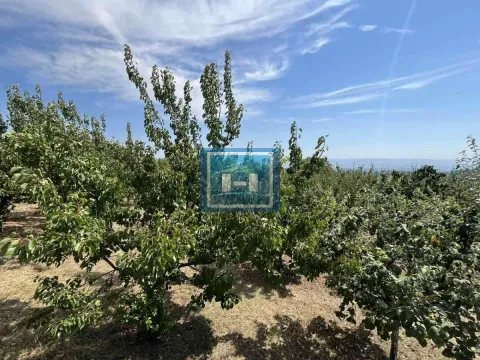 Sale, house, 60m², Majur, Jagodina - image 23