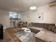 Izdavanje, jednosoban stan, 44m², Stari Aerodrom, Podgorica - image 1