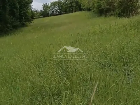 Sale, land lot, 3600m², Trstenica, Obrenovac - image 2