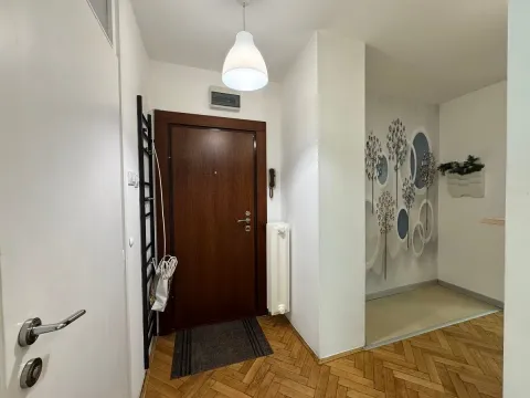 Izdavanje, dvosoban stan, 53m², Vračar Sve Podlokacije, Beograd - image 9