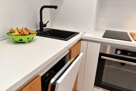 Modern kitchen with a sink, built-in oven, and an open dishwasher. - image 6