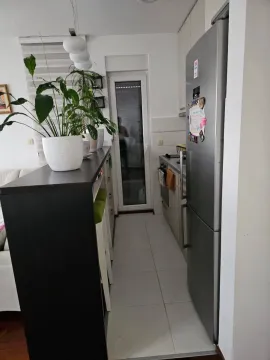 Pogled na usku kuhinju sa frižiderom i šankom sa saksijama cvijeća. - image 5