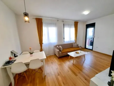 Rent, one bedroom apartment, 45m², Blok 6, Podgorica - image 3