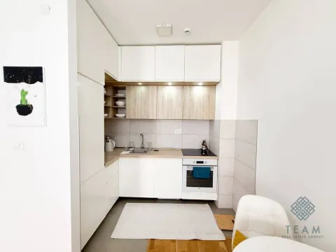 Izdavanje, jednosoban stan, 43m², City Kej, Podgorica - image 5