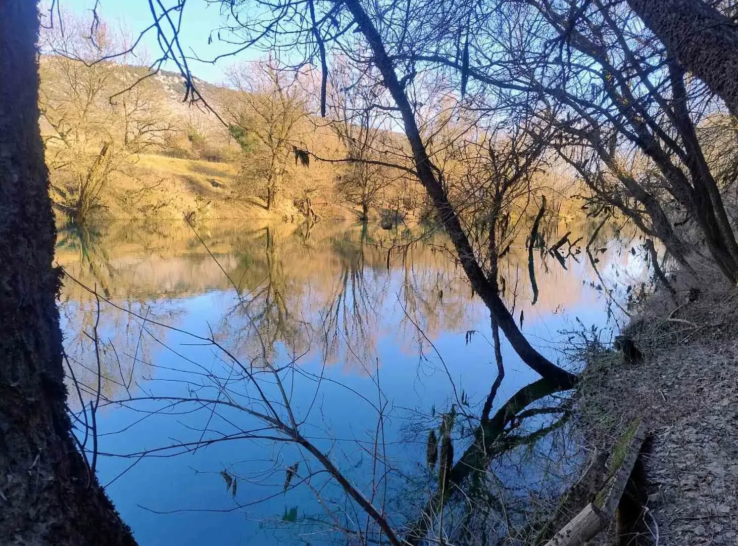 Prodaja, plac, 6100m², Orja Luka, Danilovgrad