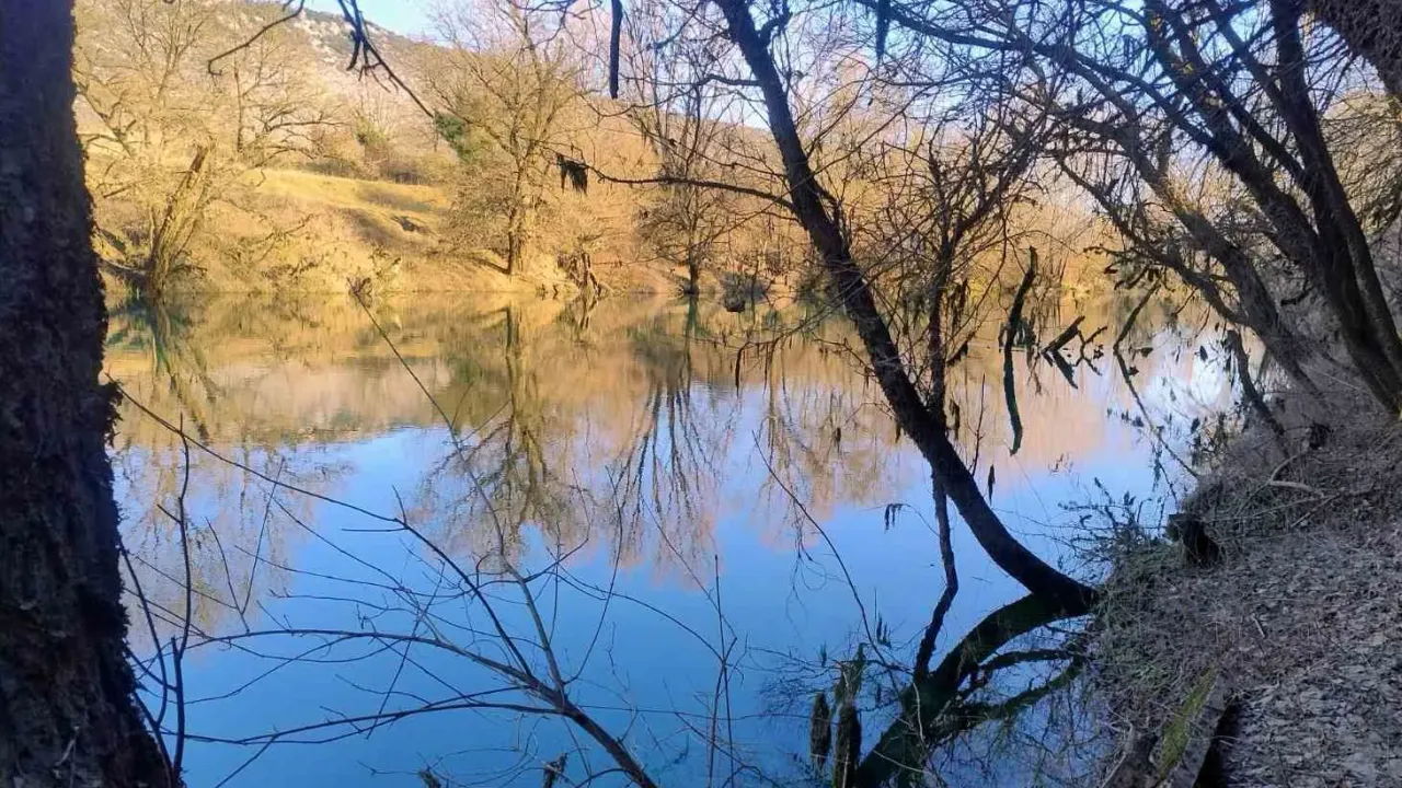 Sale, land lot, 6100m², Orja Luka, Danilovgrad