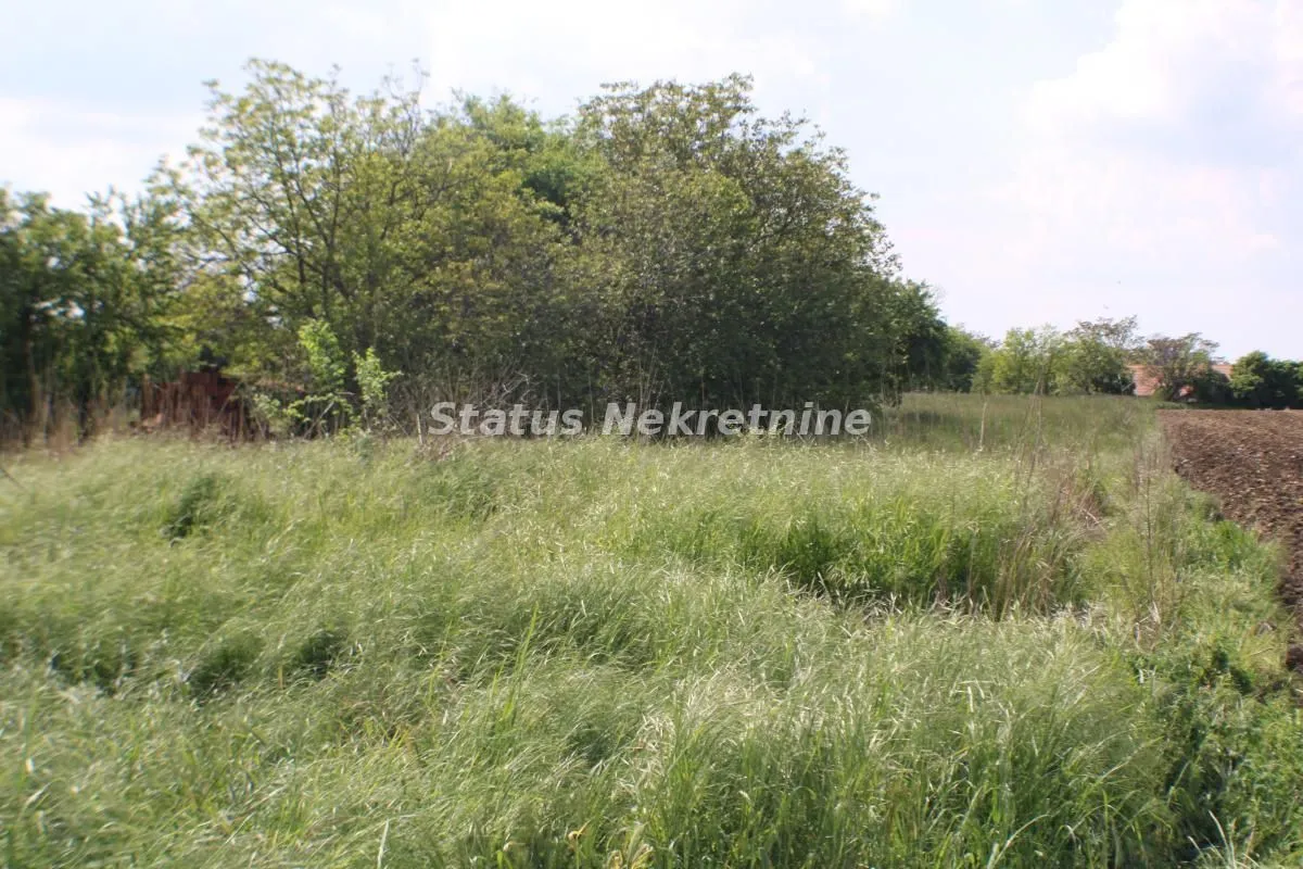 Prodaja, plac, 3800m², Temerin, Novi Sad