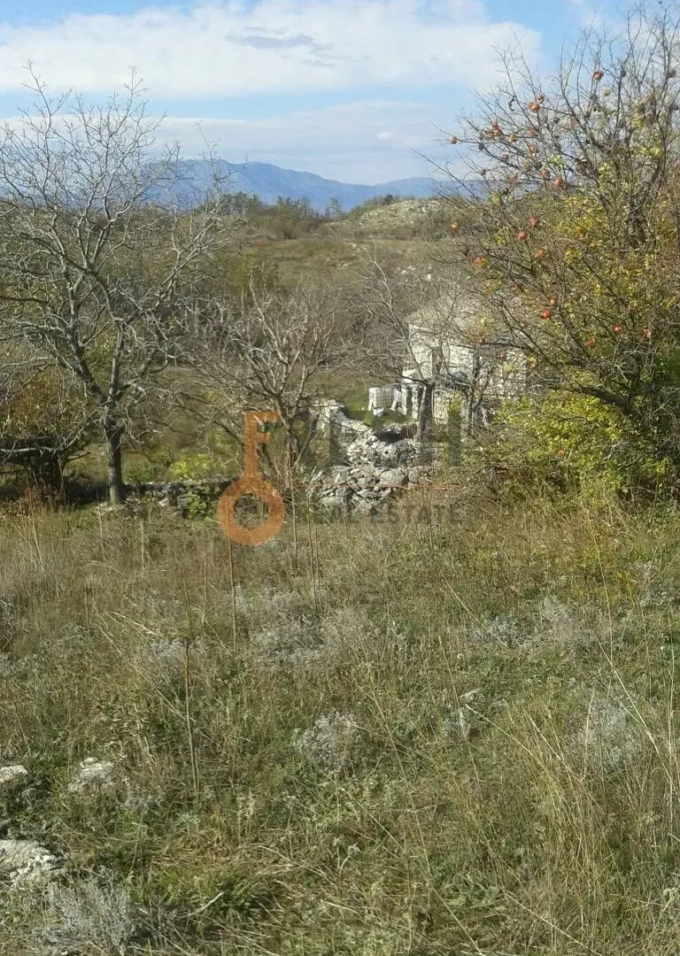 Prodaja, plac, 221500m², Ostalo, Podgorica