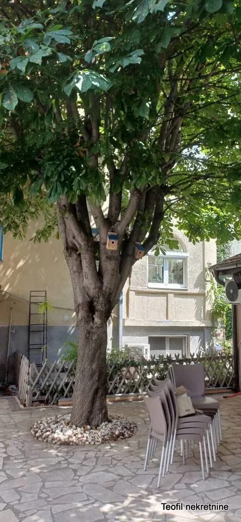 Rent, one bedroom apartment, 40m², Vračar Hram, Vračar Sve Podlokacije