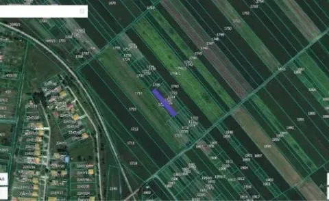 Sale, land lot, 9883m², Sečanj, Srbija - image 2