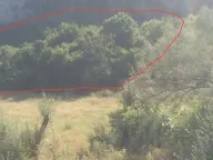 Prodaja, plac, 2100m², Buljarica, Budva - image 2