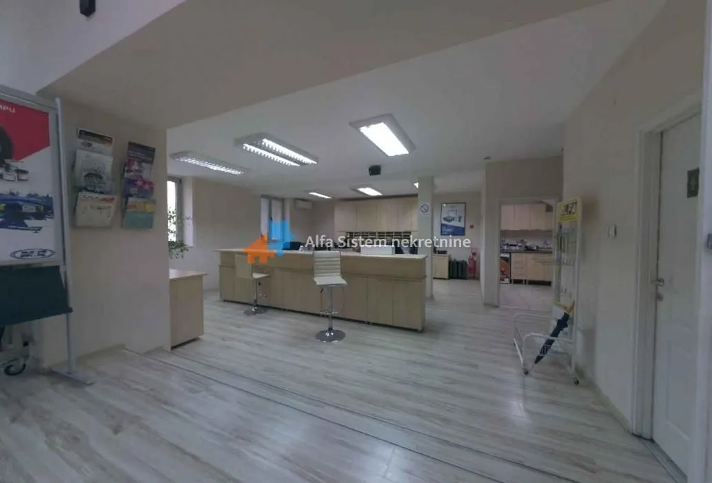 Izdavanje, poslovni prostor, 480m², Senjak, Beograd