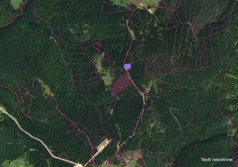 Prodaja, plac, 5700m², Golija, Ivanjica - image 3