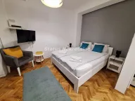 Izdavanje, garsonjera, 25m², Centar, Novi Sad - image 1