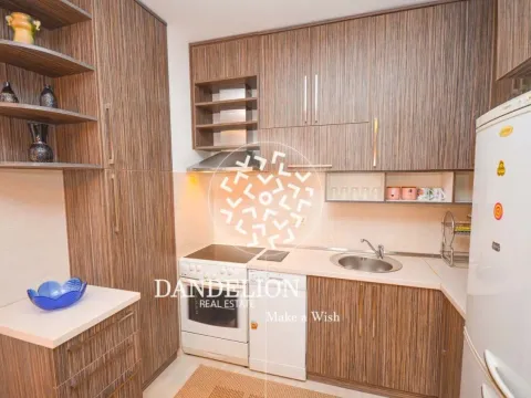 Izdavanje, jednosoban stan, 52m², Tuški Put, Podgorica - image 6