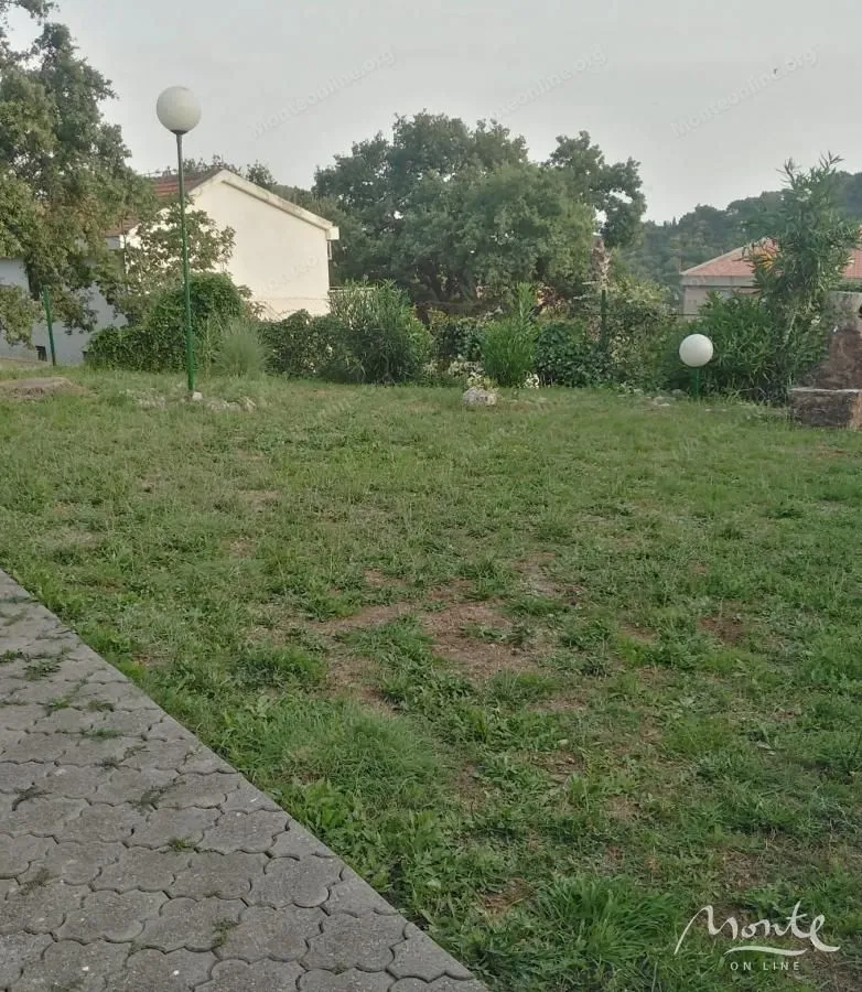 Grassy yard with a pathway and lighting in front of the house.