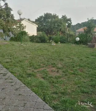 Grassy yard with a pathway and lighting in front of the house. - image 18