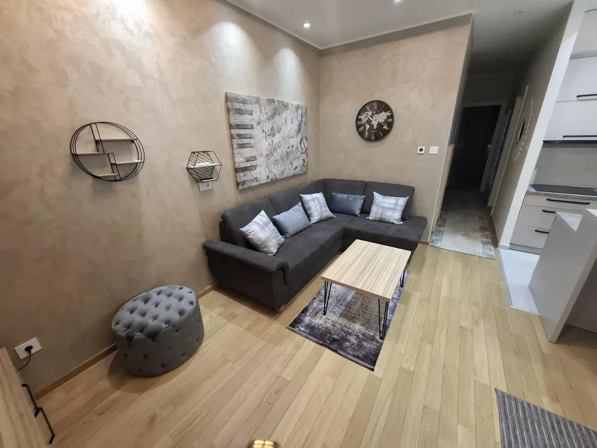 Rent, one bedroom apartment, 44m², Centar, Novi Sad