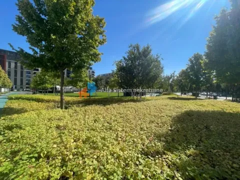 Izdavanje, dvosoban stan, 65m², Savski Venac, Beograd - image 15