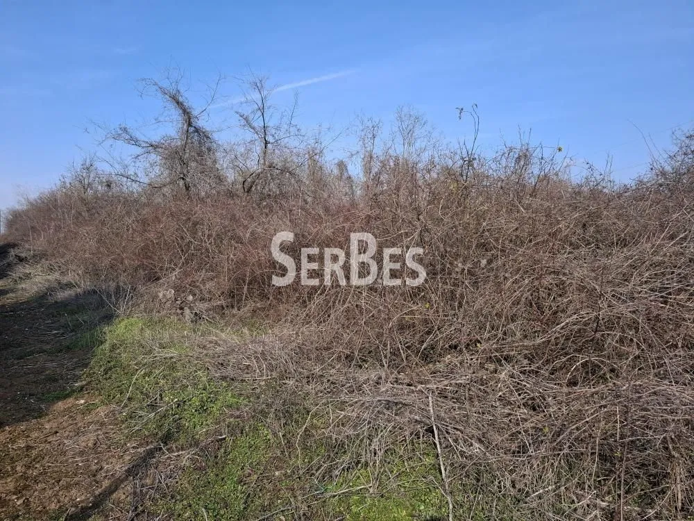 Prodaja, plac, 3251m², Trandžament, Petrovaradin