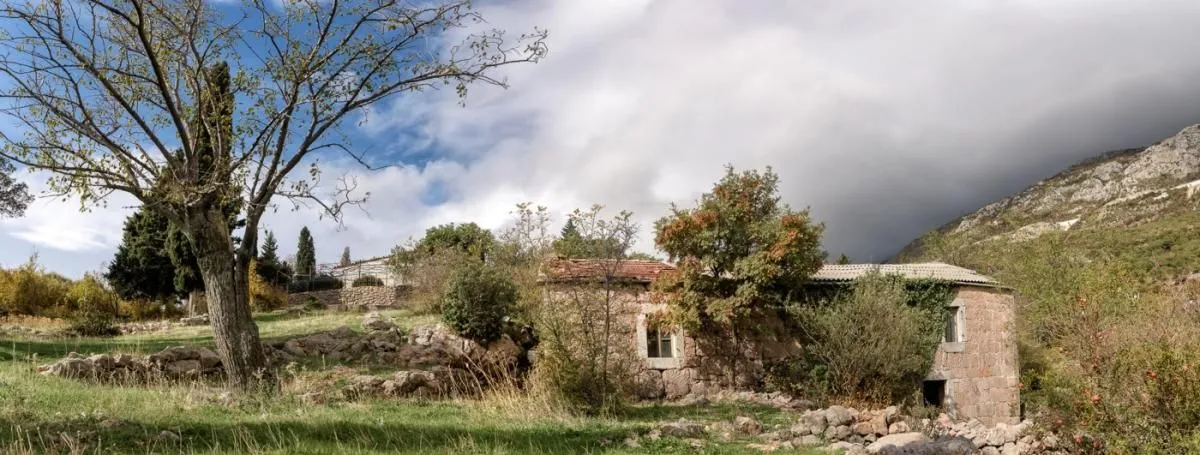 Prodaja, plac, 24460m², Budva, Crna Gora