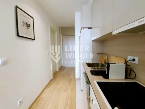 Izdavanje, stan, 30m², Savski Venac, Beograd - image 10