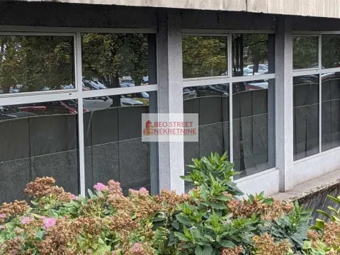 Izdavanje, poslovni prostor, 250m², Beograd, Srbija - image 2