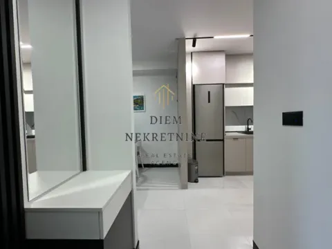 Izdavanje, jednosoban stan, 45m², Zagorič, Podgorica - image 2