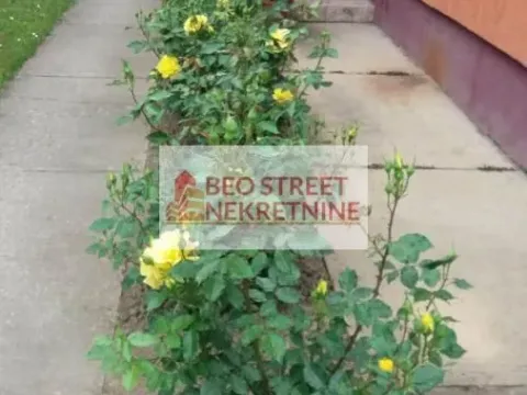 Sale, house, 240m², Odžaci, Srbija - image 5