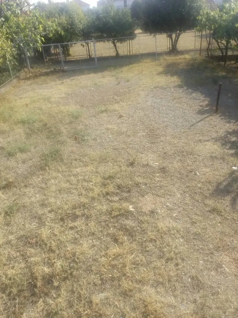 Ograđeno dvorište sa travom i drvećem u pozadini.