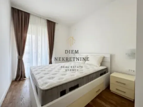 Izdavanje, jednosoban stan, 50m², Stari Aerodrom, Podgorica - image 5